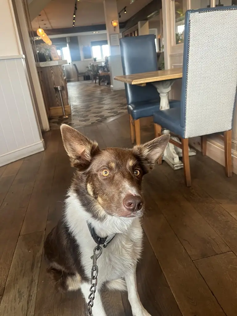 Meg James_The Otter_Castle Donington_review