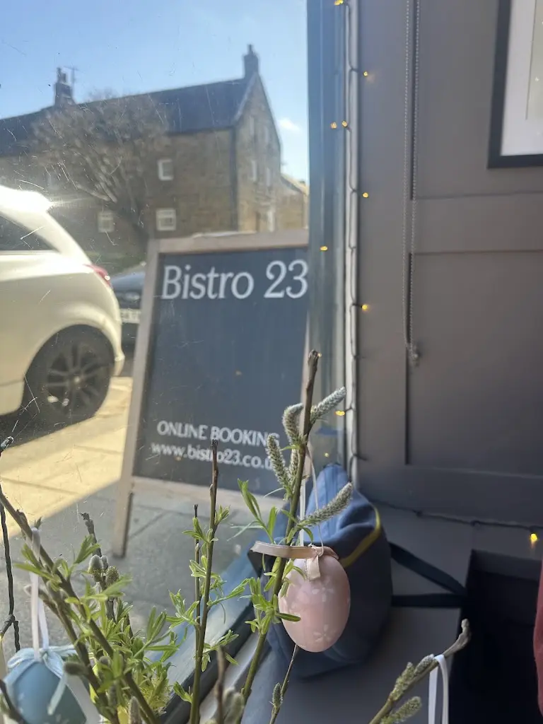 Nikki Cook_Bistro 23_Amble_review