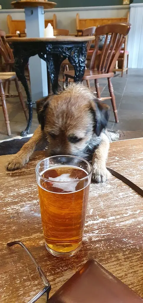 Menu_The Chagford Inn_Chagford_immagine_2