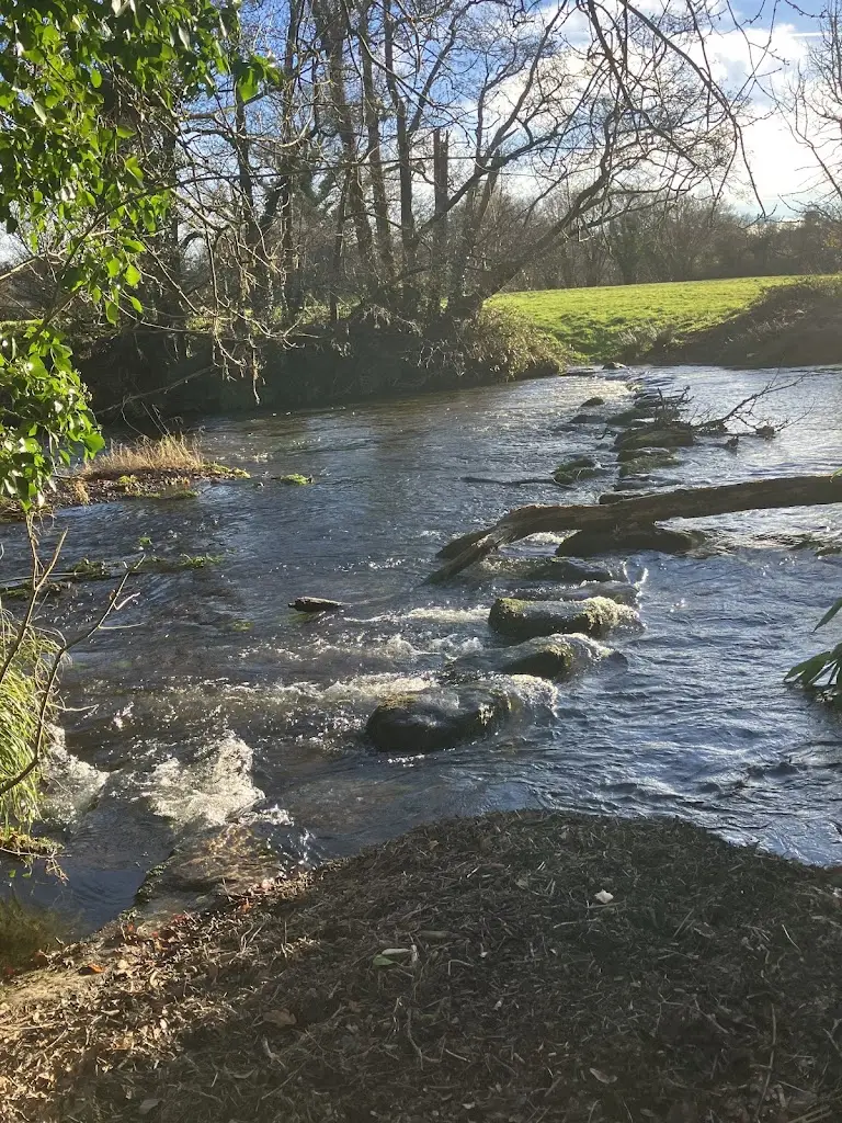 Janice Wallbridge_Restaurant at Mill End Hotel_Chagford_review