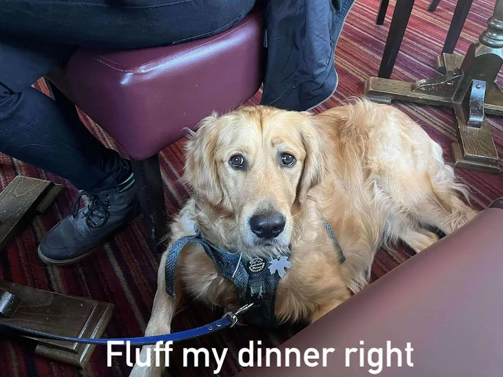 Jack_The Jolly Drovers_Castleside_review