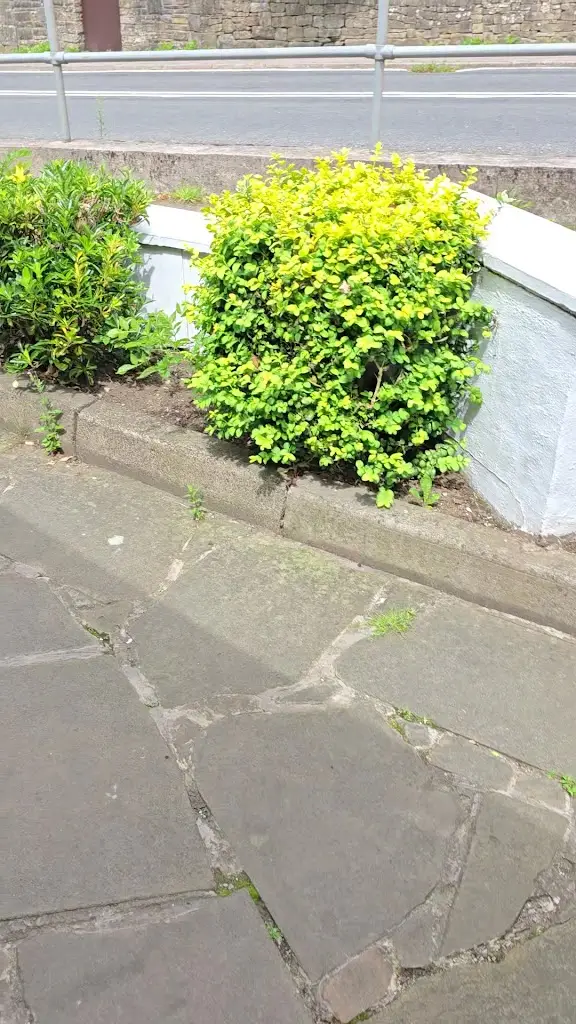 Chris Goulding_The Hanging Gate_Chapel en le Frith_reseña