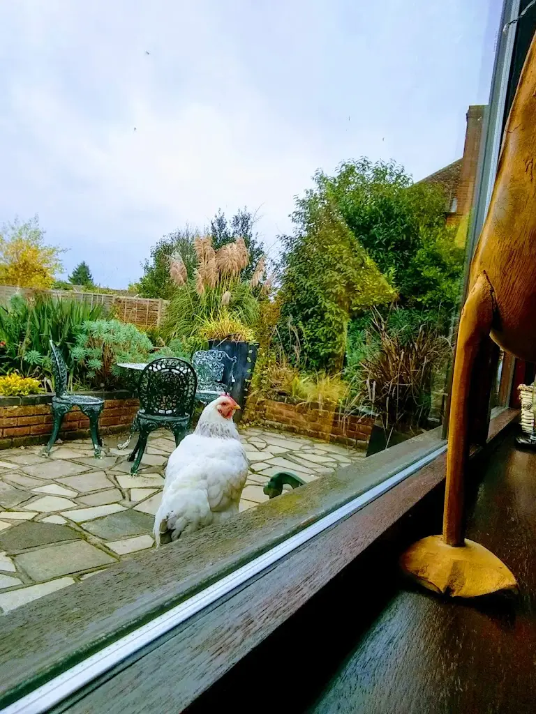 Rob Bulman_The Royal Oak Ruscombe_Charvil_review