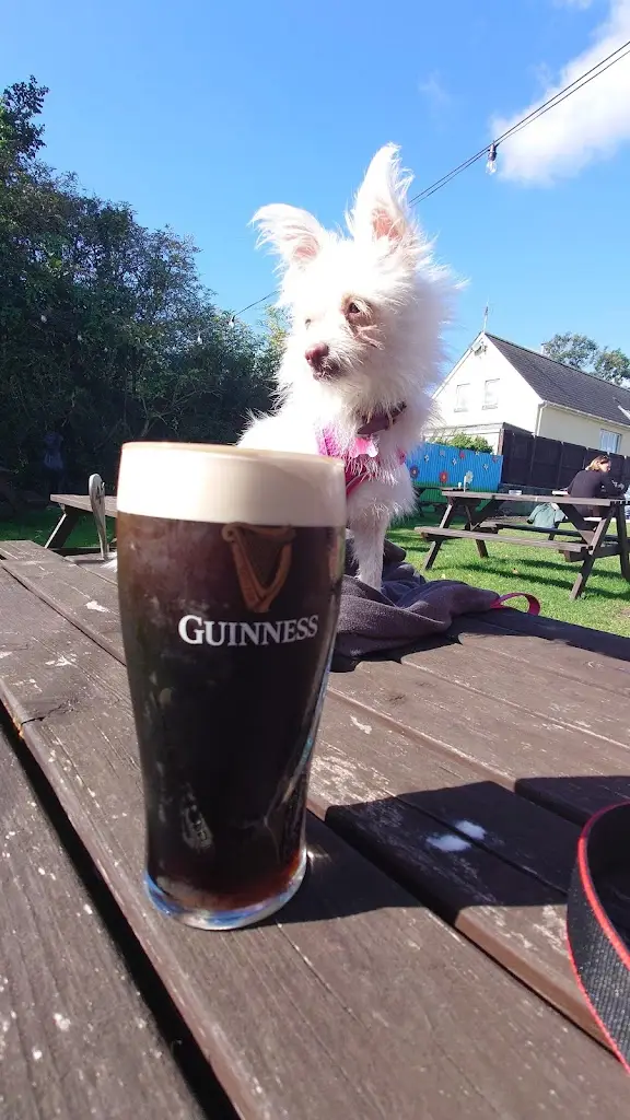 Menu_The George_Charmouth_immagine_3