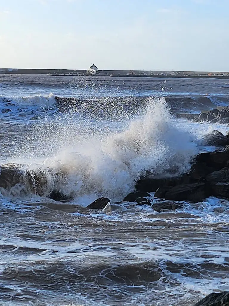 Joanna A_Bell Cliff_Charmouth_review