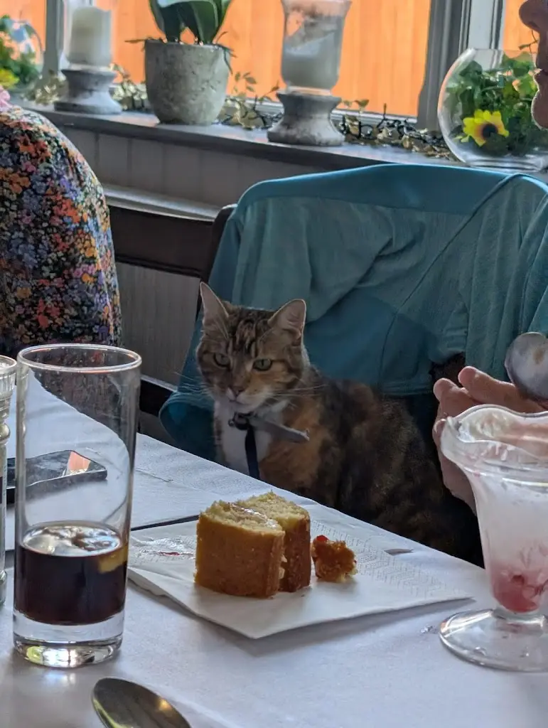 Ryan Drage_The Gamekeeper_Charminster_recensione