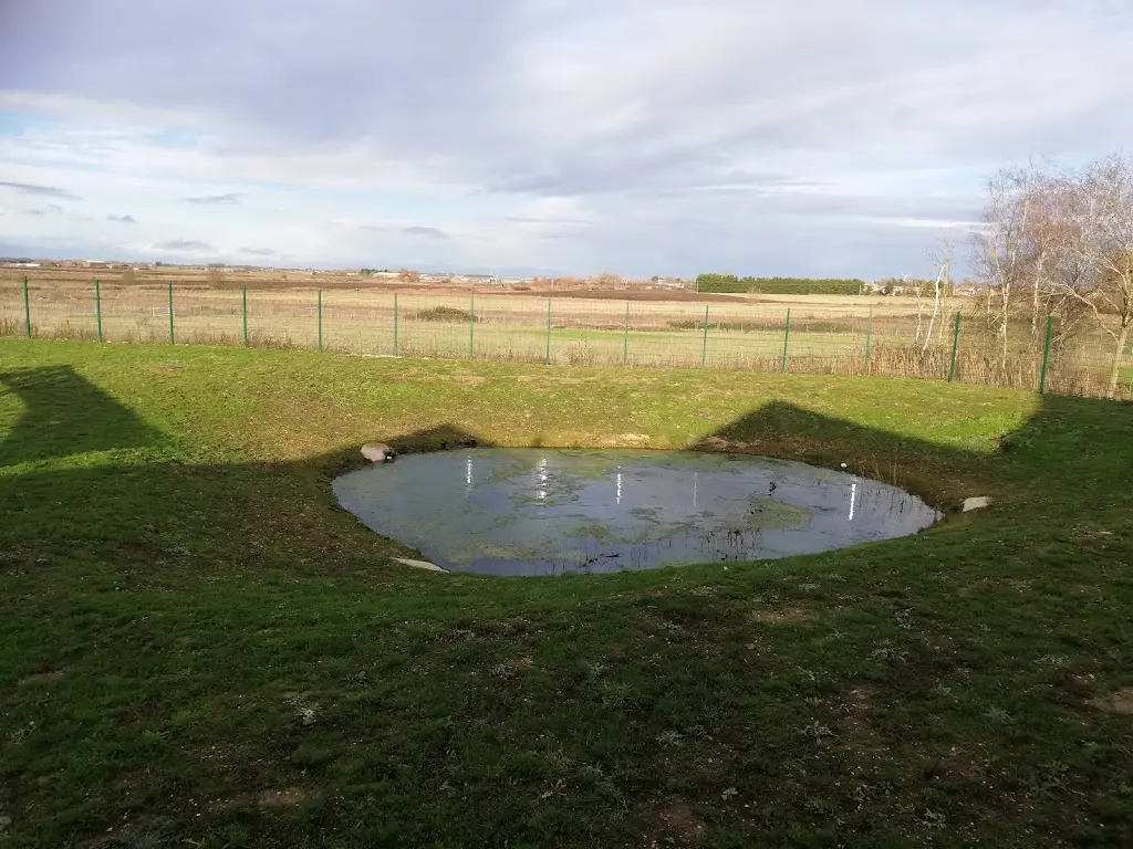 Samantha Kettle_Seasons Garden Centre_Chatteris_review