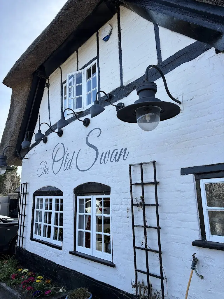 Charlotte Hopkins_The Old Swan_Cheddington_review