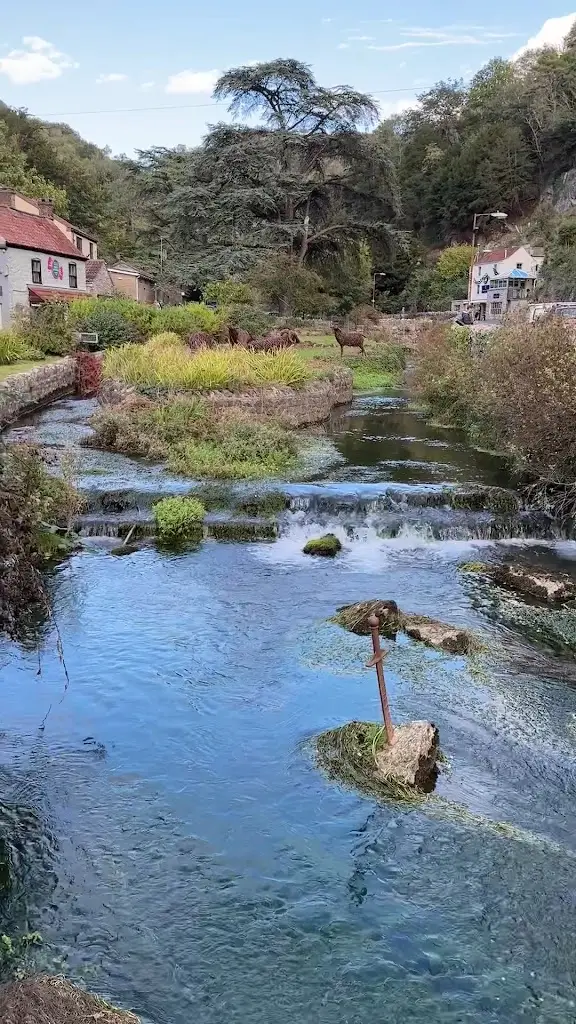 Mahsa kianpour_The White Hart_Cheddar_review