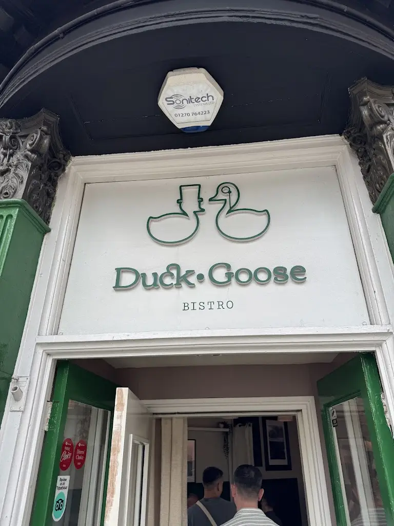 Scott Gaffney_Duck Goose_Cheddleton_review