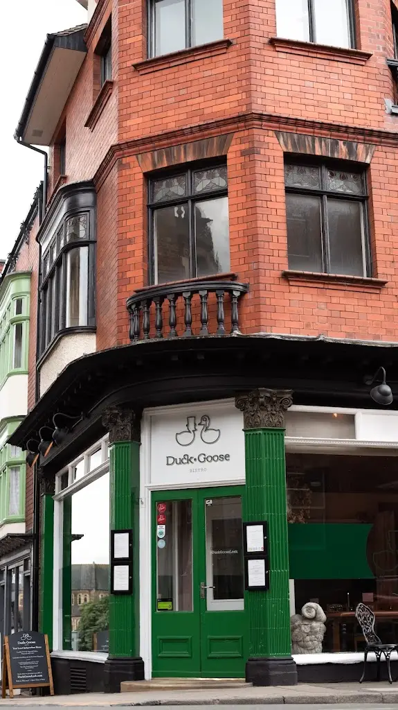 Duck Goose_Cheddleton_slider_image_1