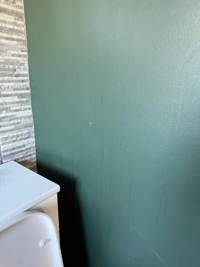 Rachael Wakefield_The Norfolk Arms_Chapeltown_review