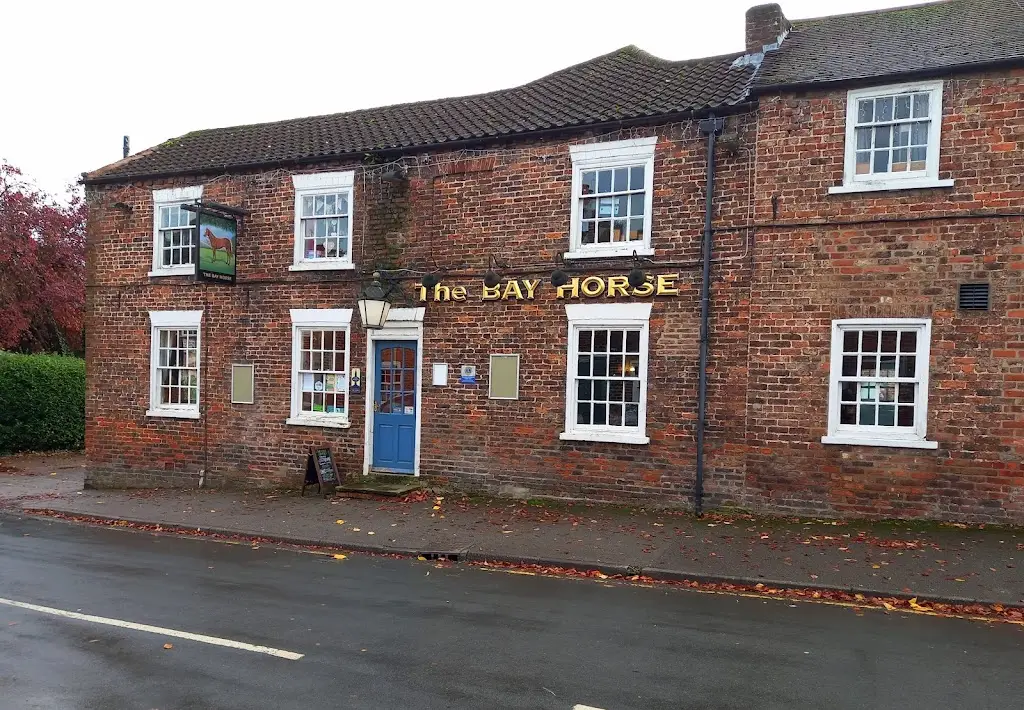 Andrew Nell_Bay Horse_Cherry Burton_review