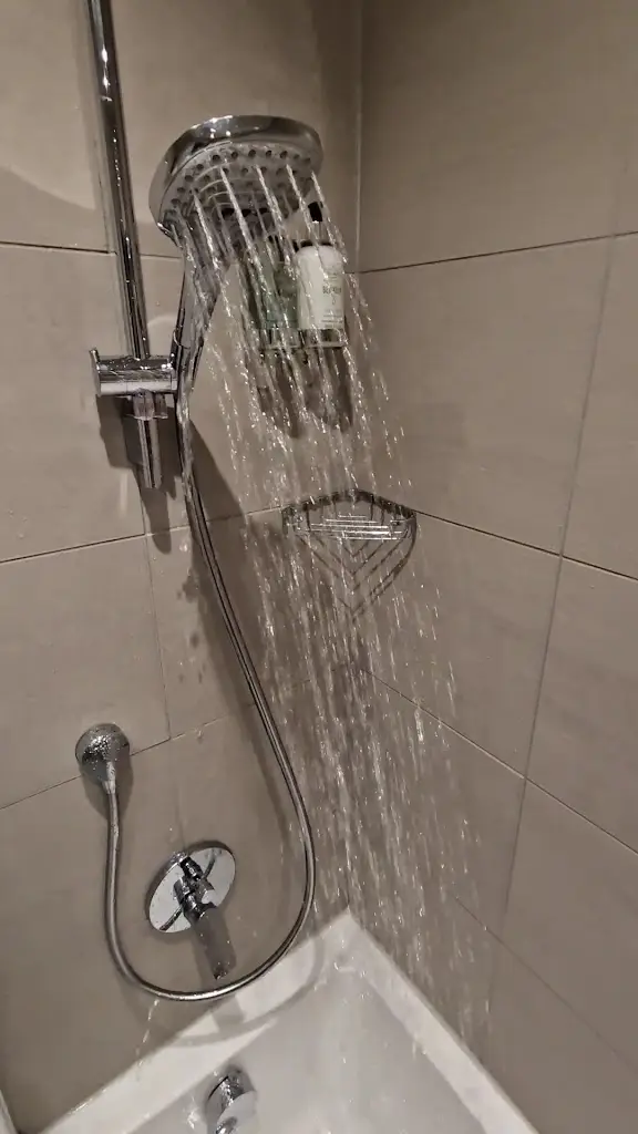 Ellie The Goldendoodle_The Wateredge Inn_Ambleside_review