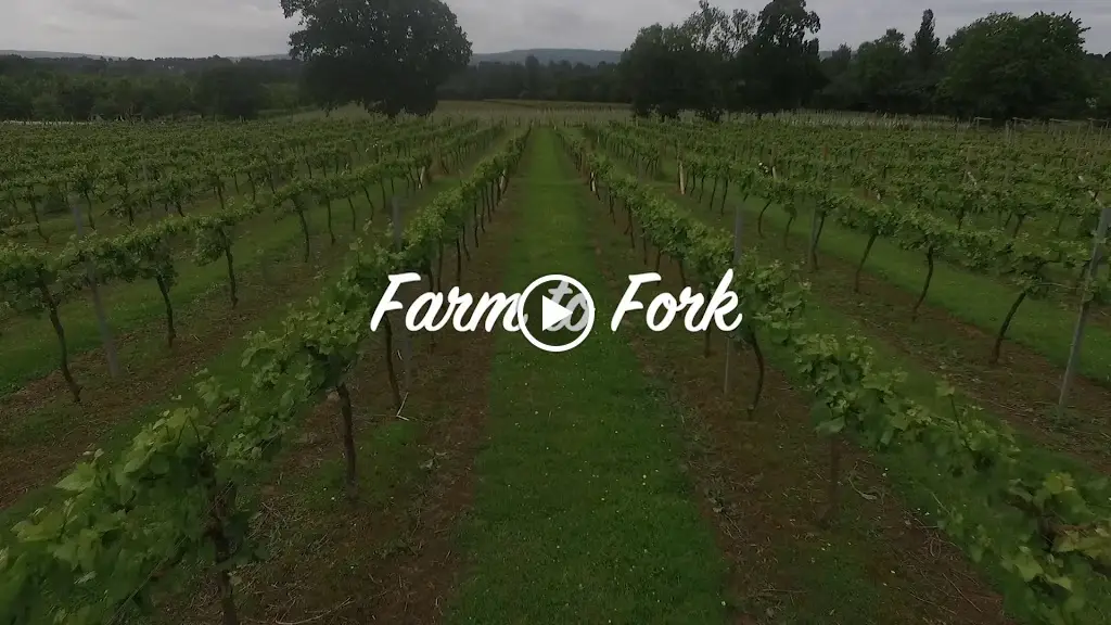 Rabbit British Bistro_Chelsea_slider_image_2