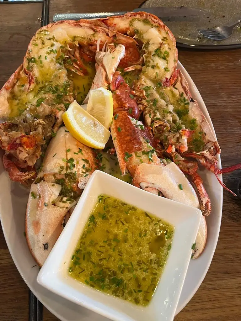 Jane Thomas_Lazy Lobster chew magna_Chew Magna_review
