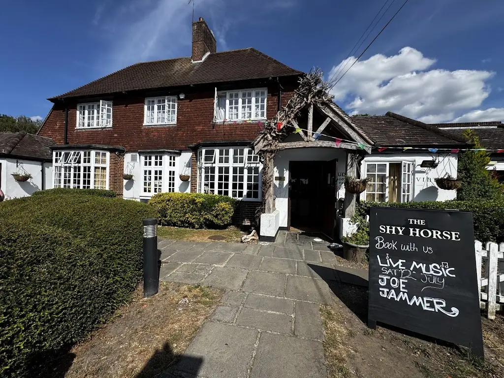 Gareth Taylor_The Shy Horse_Chessington_review