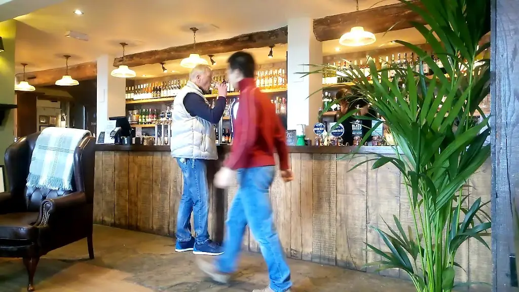 The Shy Horse_Chessington_slider_image_2