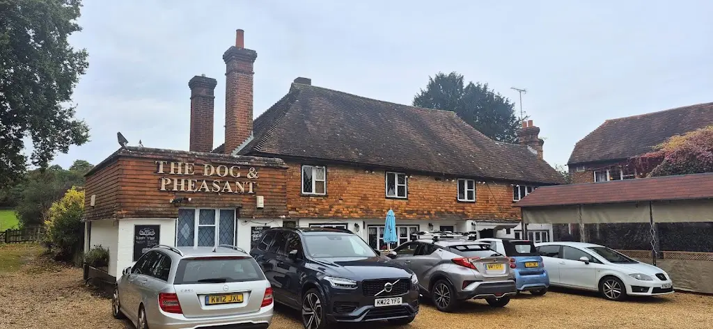 Dog and Pheasant_Chiddingfold_slider_image_3