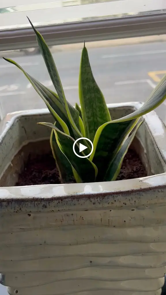 Kasalong Thai Restaurant_Chertsey_slider_image_2