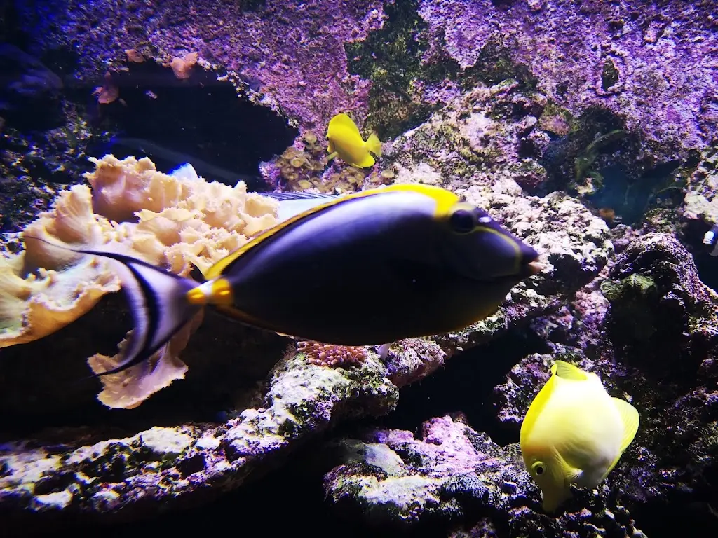 Tania Williams_Mooro's Family Restaurant_Chigwell_review