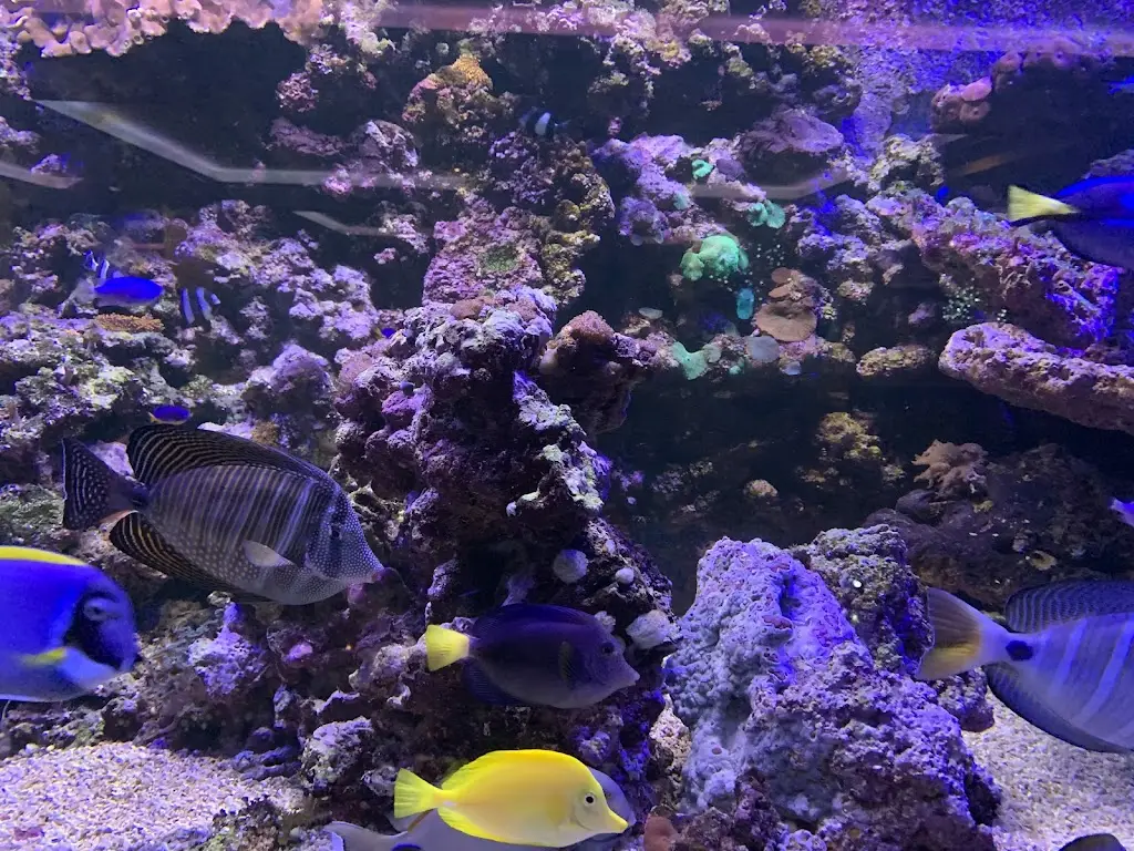 Mooro's Family Restaurant_Chigwell_slider_image_2