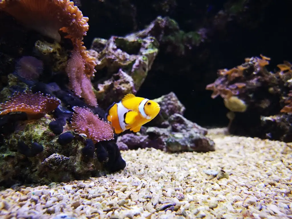 Mooro's Family Restaurant_Chigwell_slider_image_3