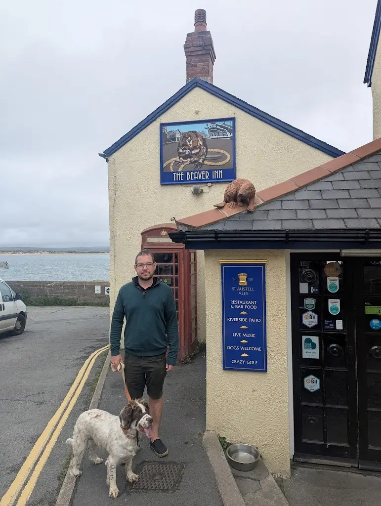 Sally Dale_The Beaver Inn_Appledore_review