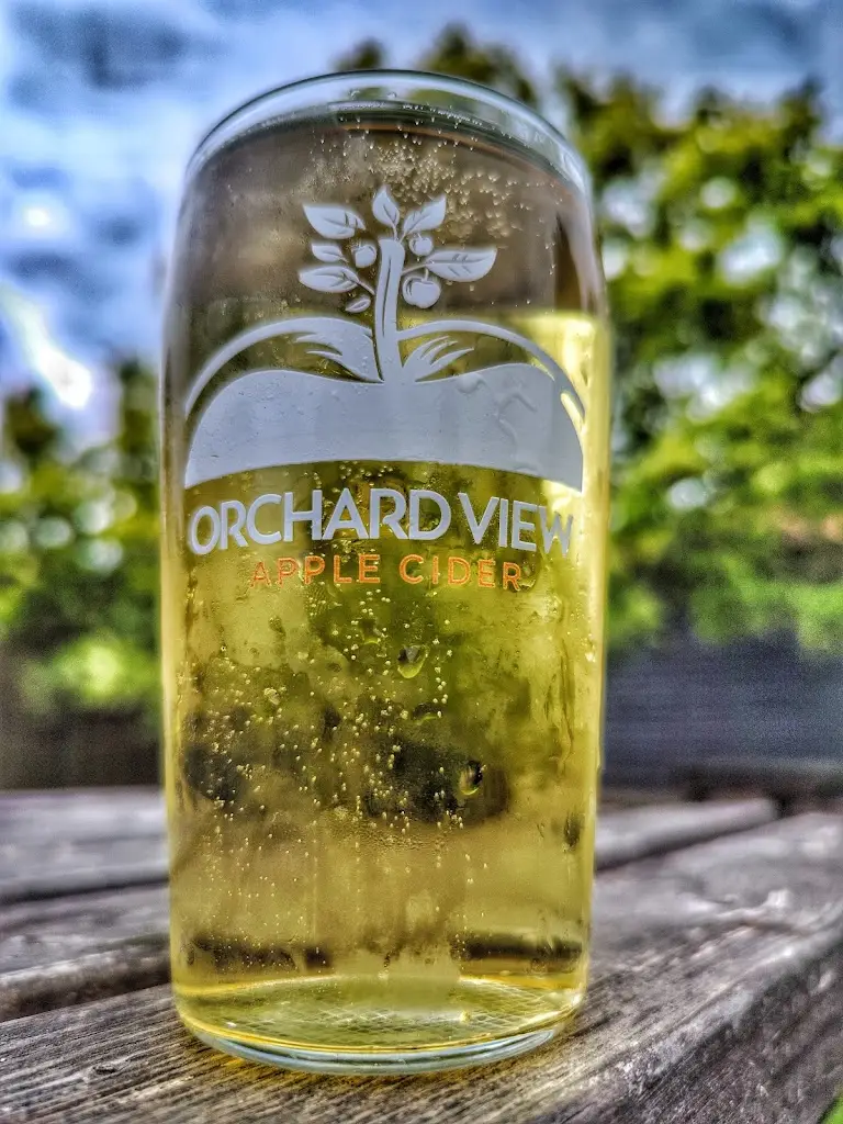 Menu_The Woodman_Chipping Ongar_image_4