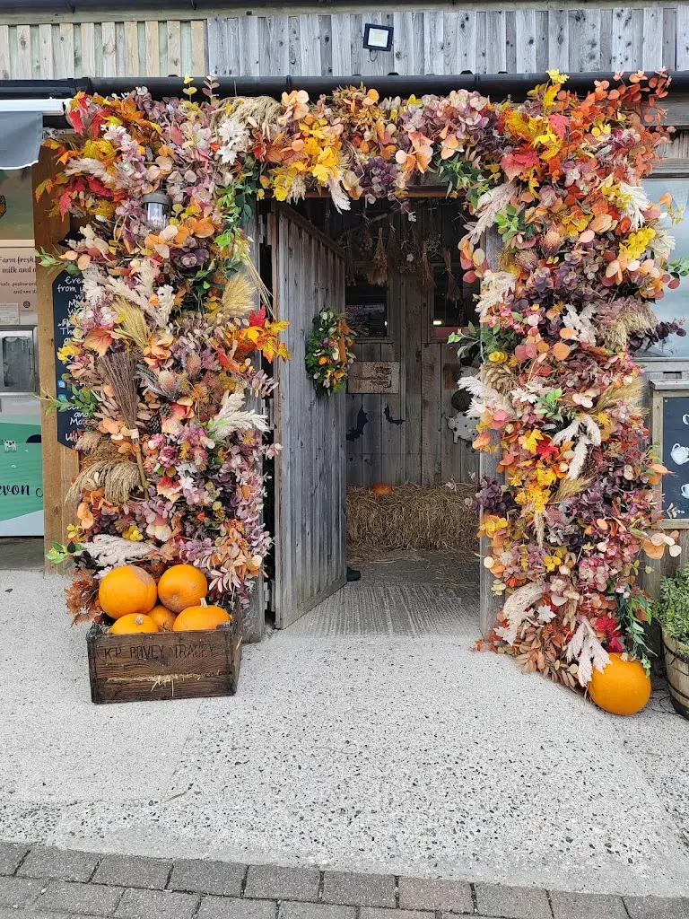 Ullacombe Farm Cafe & Shop_Chudleigh Knighton_slider_image_1