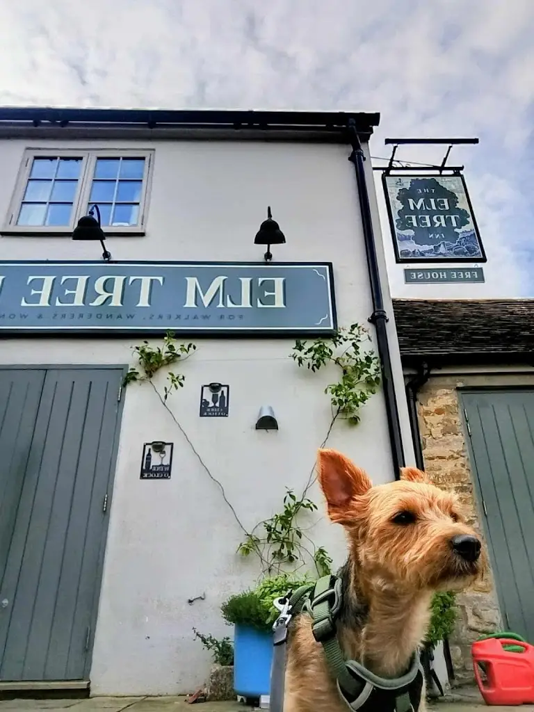 Aus Fost_The Elm Tree Inn_Chickerell_review