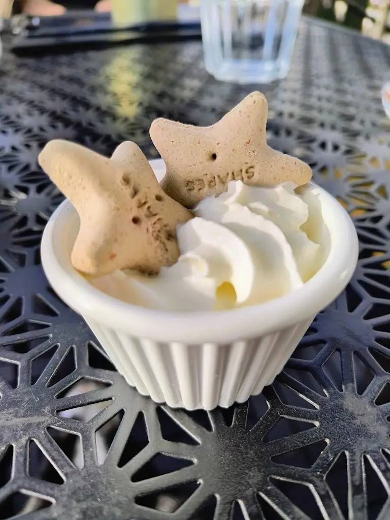 Sam Stone_Koo Chesterfield_Chesterfield_review