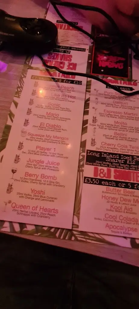 Menu_Darwin and Bear_Chesterfield_immagine_2