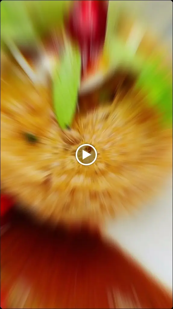 Cinnamon Culture_Chislehurst_slider_image_2