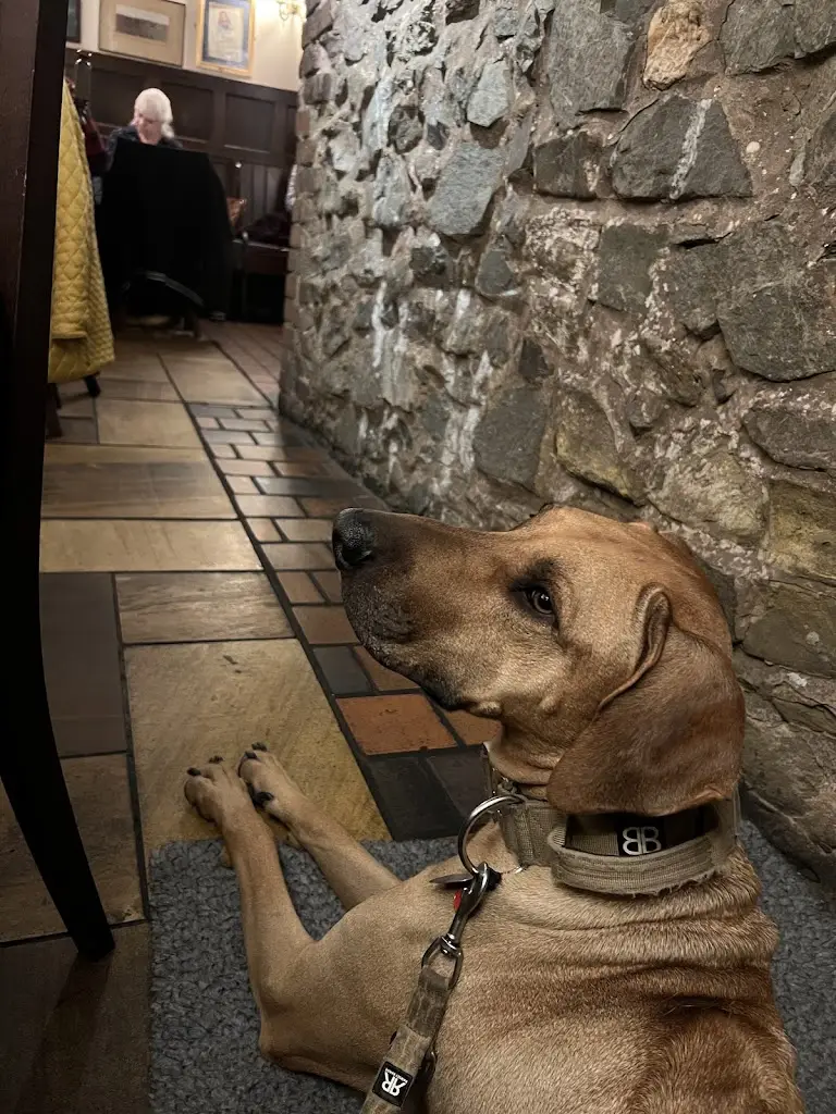 Monica Birk_The Kings Arms_Church Stretton_review