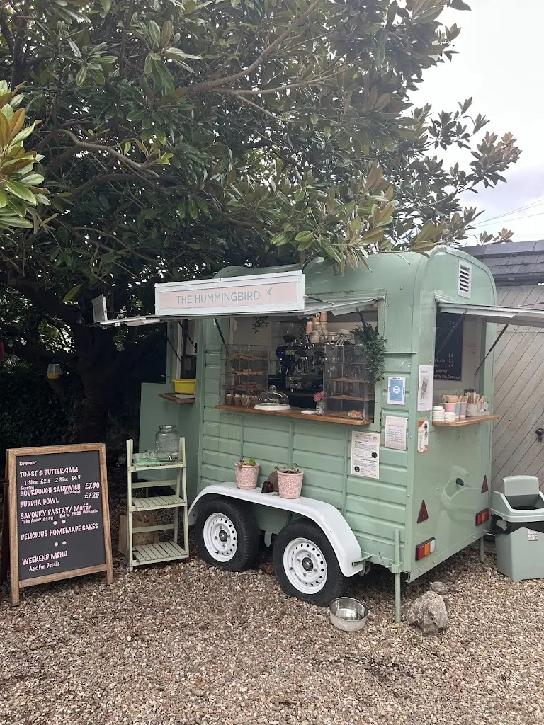 Penny Burghart_The Hummingbird_Chudleigh_review