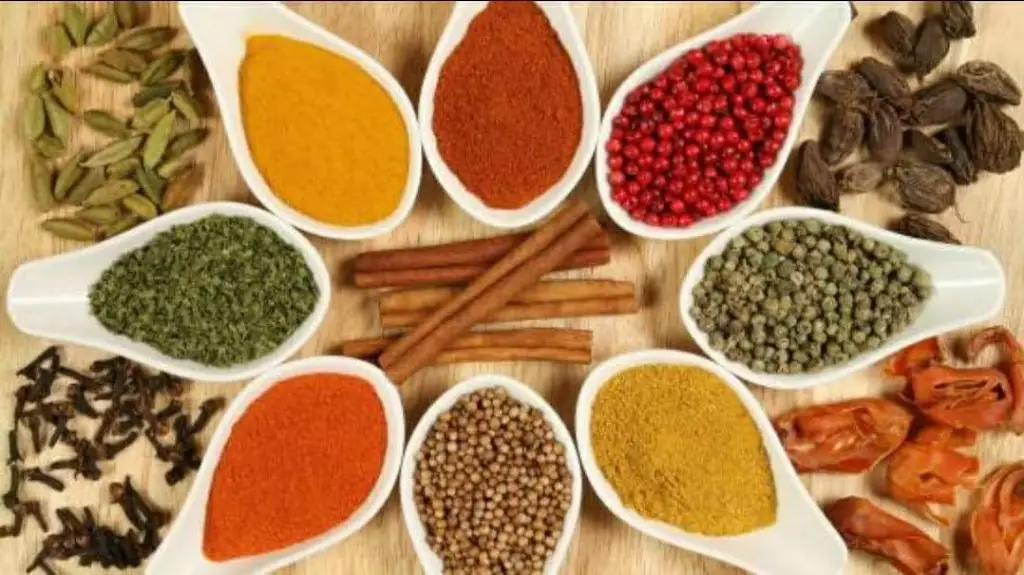 Menu_Tudor Raj_Chipping Sodbury_image_6