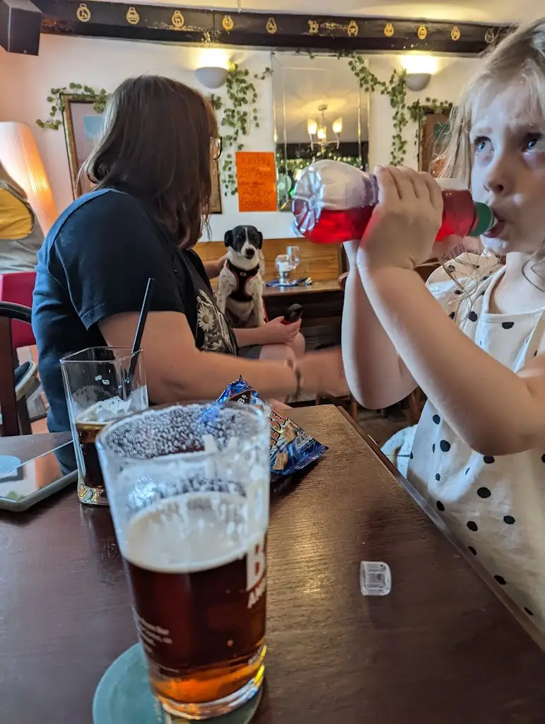 Menu_The Grapes Tracy and Sam_Chipping Sodbury_image_1