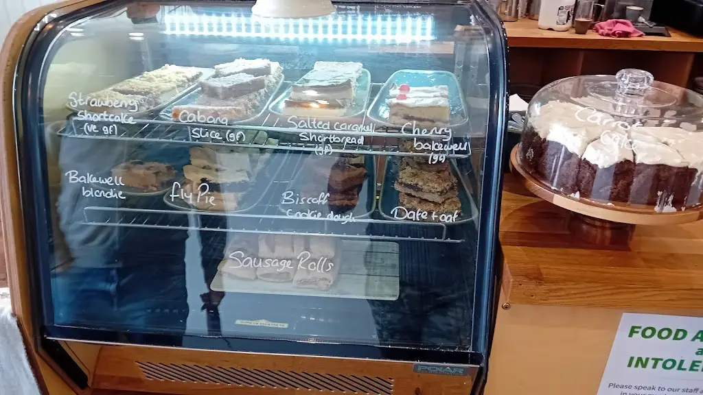 Devon M_Sandpipers_Arnside_review