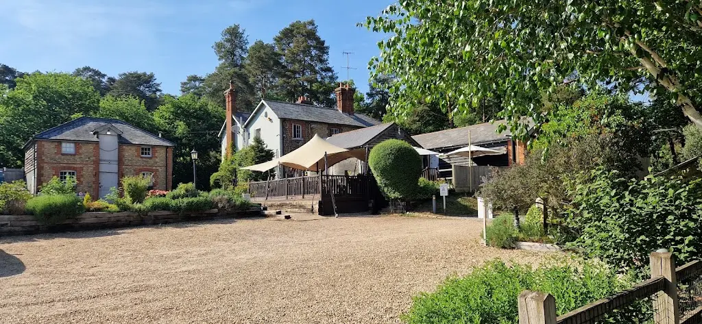 Lubomira Trnkova_The Duke of Cambridge_Churt_review