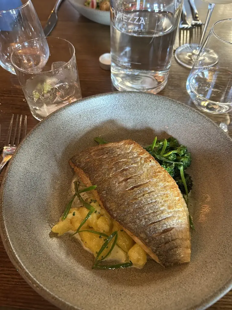 Josh Dunn_The Third Monkey_Churt_review