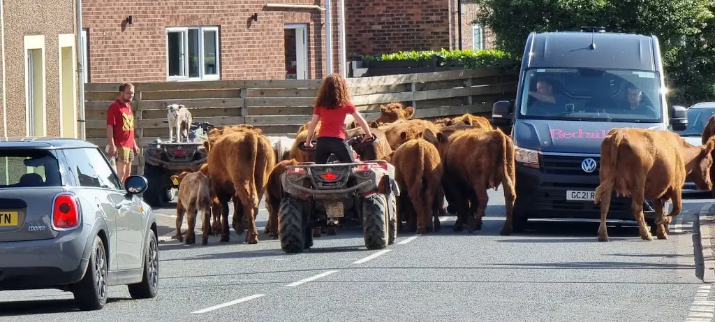 Little Arms_Cleator Moor_slider_image_2