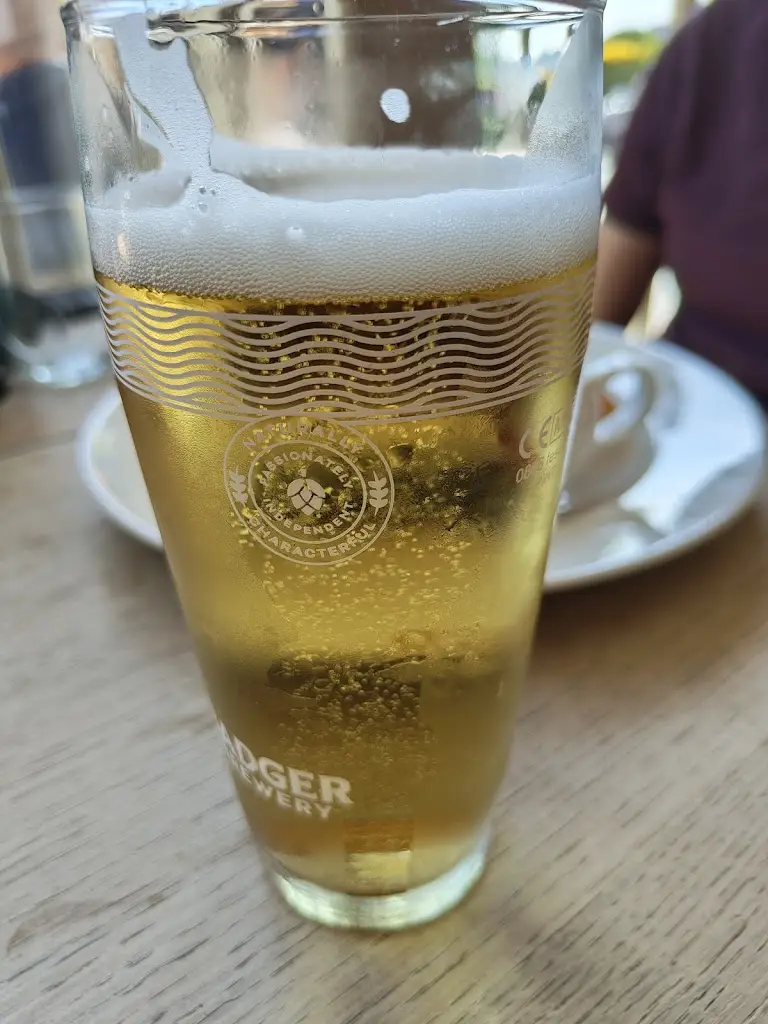 Virgil Stoian_The Black Rabbit_Arundel_review