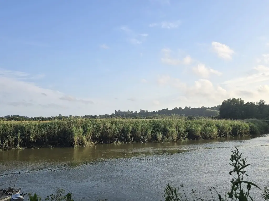 Idnaan Naseer_The Black Rabbit_Arundel_review