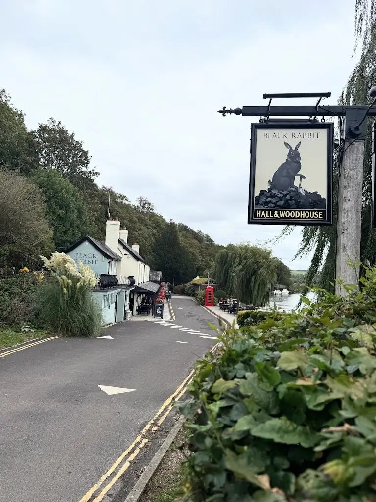 Virginia Huffman_The Black Rabbit_Arundel_review