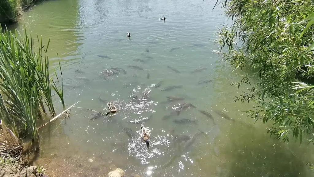 PurePlanet Cafe_Cliffe_slider_image_2