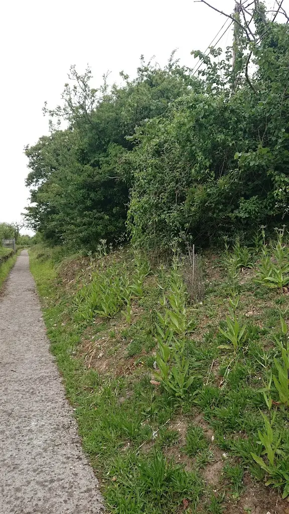 The Cliffe Cafe_Cliffe_slider_image_3