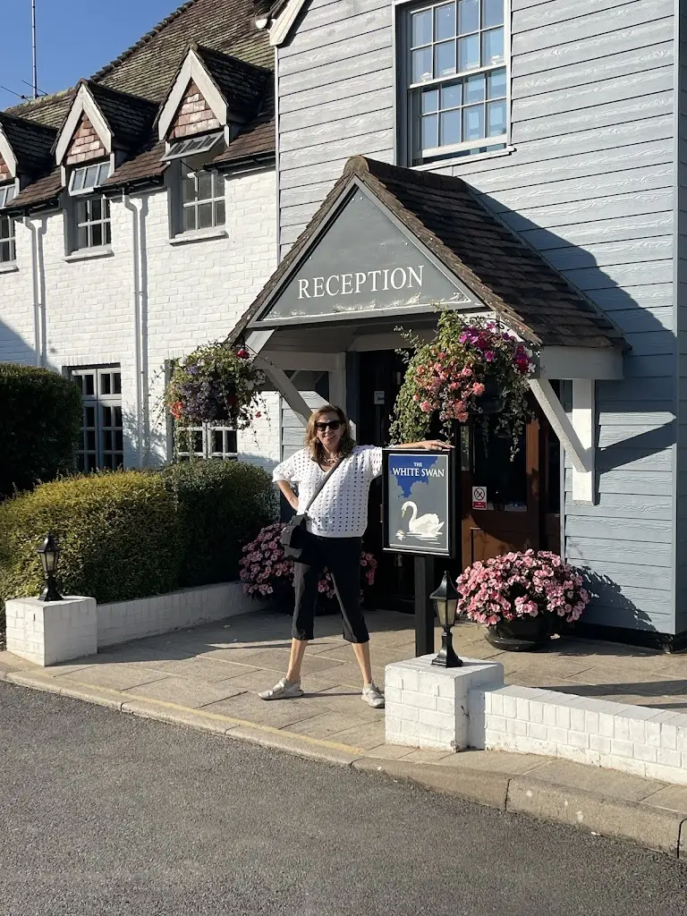 Stewart Gardner_The White Swan_Arundel_review