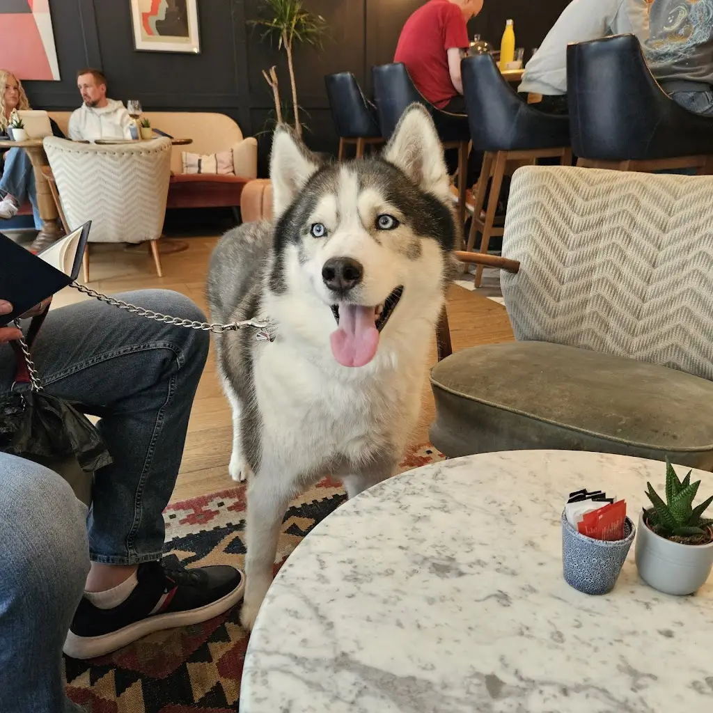 Michelle Palmer_Coppa Club Clifton_Clifton_review