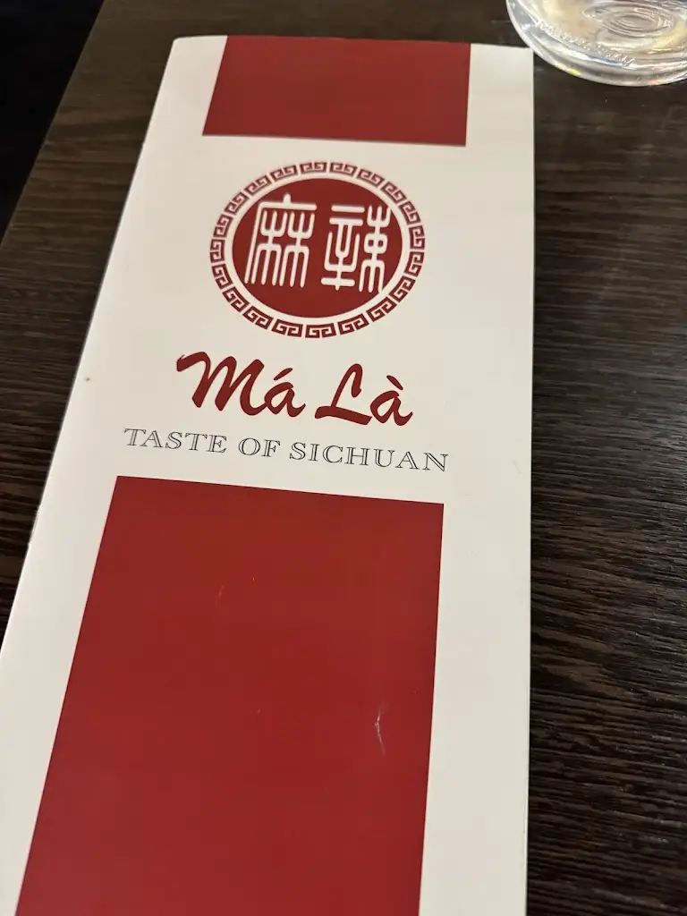 joseph hinlayagan_Ma La Sichuan_City of Westminster_review